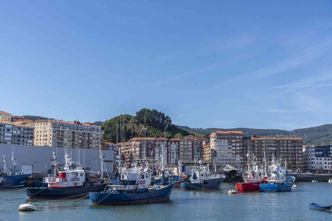 Vizcaya - Bermeo 05 - puerto.jpg